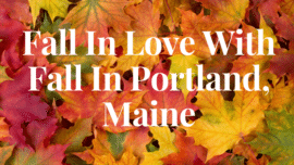Fall in love with fall in Portland, Maine in 2017.