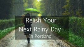 relish your next rainy day in Portland Maine